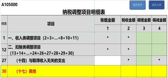 纳税调整项目明细表